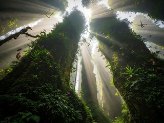 Mysterious ancient forest with sunbeams and prehistoric creatures