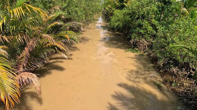 Panning shot of a muddy brown river canal flows through lush tropical vegetation in the Mekong Delta, Vietnam.