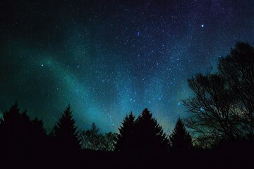 Night sky with vibrant colors and starry patterns over a silhouetted forest