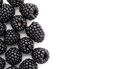 Fresh Blackberry Isolated With Copy Space