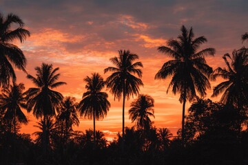 Silhouette of palm trees against a vibrant, fiery sunset sky