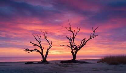 Two silhouetted dead trees on a beach at sunrise, with vibrant pink and purple sky