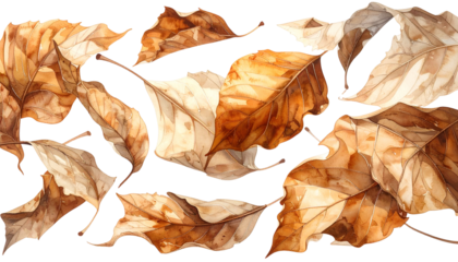 Watercolor of dried autumn leaves arranged in a horizontal row