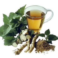Glass Cup Containing Black Tea Isolated on White Background. glass cup black tea, black tea in glass cup, black tea isolated on white, tea in glass cup, hot black tea, transparent glass tea cup, black
