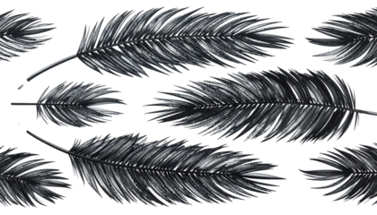 Monochrome palm leaves, detailed and layered against a stark black background