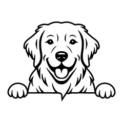 Golden Retriever Peeking