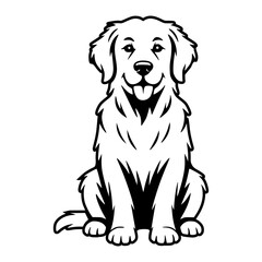 Golden Retriever Sitting