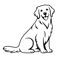 Golden Retriever Sitting