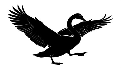 Fototapeta premium Graceful Black Swan Silhouette with Wings Spread in Flight.