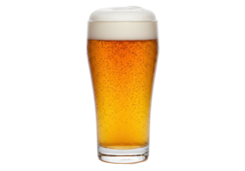 Tall Pilsner Glass of Golden Beer with Frothy Head and Bubbles