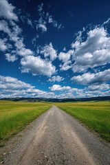 まっすぐ続く草原の道