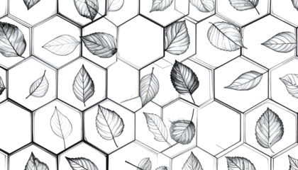 Monochrome leaves overlayed on a honeycomb pattern