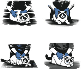 Veterinary professionals wearing blue gloves are gently examining or petting a fluffy cat