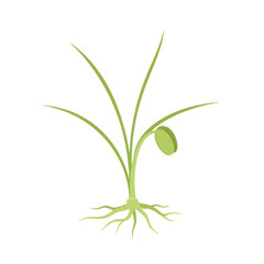 Obraz premium Simple green plant with roots and seed pod, vector illustration on white isolated on white background