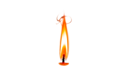 Vibrant orange squid isolated on transparent background