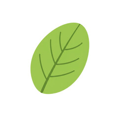 Vibrant green leaf illustration with simple veins isolated on white background