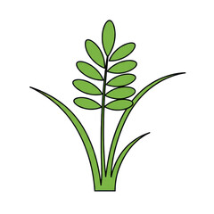 Simple illustration of a grassy plant sprout isolated on white background