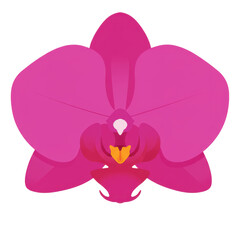 Vibrant pink orchid flower with detailed petal structure and yellow center isolated on white background