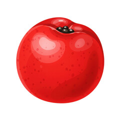 Vibrant red fruit illustration with dark calyx isolated on white background