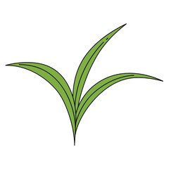 Stylized green leaves with black outlines, simple and elegant design isolated on white background