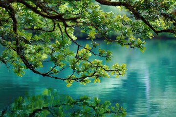 Close-up of tree branches with vibrant green leaves over a serene turquoise lake