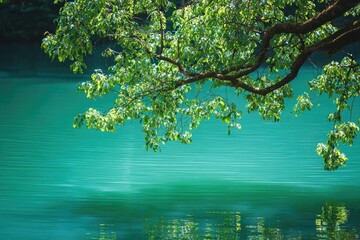 Branches with lush green foliage overhang a calm, vibrant turquoise lake, mirroring the leaves
