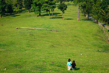 Two young girls walking together in a vast green meadow under the sunlight, sisterhood and friendship concept.