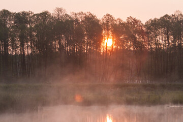 mglisty leśny staw o wschodzie słońca © © Jakacki