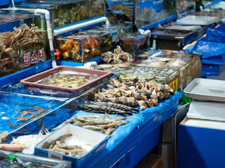 fresh fish in a market