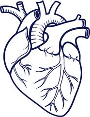 human heart icon outline vector icon