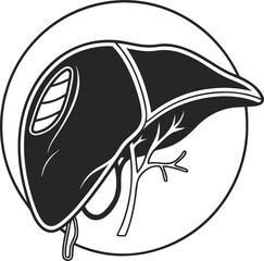 liver icon outline icon vector