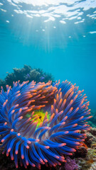Underwater Coral Reef Scene with Colorful Sea Anemone