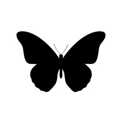 Butterfly vector illustration isolated on a white background with elegant wings
