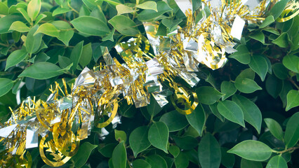 Colorful New Year festival decorations hanging on tree branches with green leaves background. Mixture of silver and gold in equal. Outdoor holiday celebration and seasonal greeting concept.