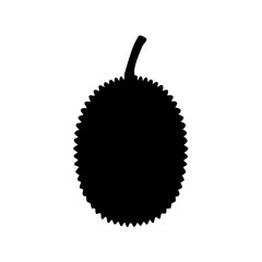 kiwi fruit isolated on white