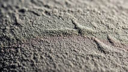 Intricate macro view of a finely granular grey-brown surface showing subtle texture and delicate