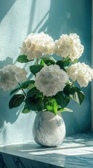 Elegant White Hydrangeas in Marble Vase by Window Light hydrangeas vase elegant white hydrangeas sky
