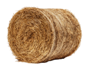 Round hay bale, tightly bound with swirled pattern, against dark background