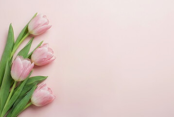Flowers background. Minimalist pink tulip frame top view on pale pink backdrop template mockup with copy space. Valentine's day, Women's day, birthday, Easter, mother's day, wedding concept.