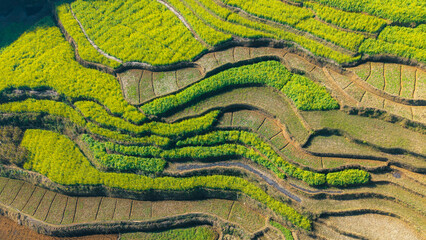 Obraz premium Aerial View of the Magnificent Green Terraced Fields in Baoshan, Yunnan，China