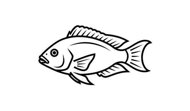 Keyhole cichlid fish outline icon vector illustration aquarium line art