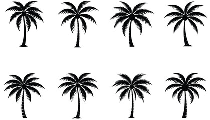 Black palm tree silhouettes vector icon set. Tropical island summer vacation design element. Exotic beach coconut tree logo concept. Nature illustration isolated on white background.