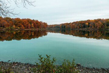 Autumn lake landscape with forest reflection, calm water mirror, colorful fall trees along shoreline, overcast sky, peaceful nature scenery
