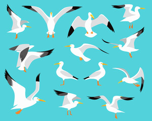 A vibrant pattern of soaring seagulls against a tranquil turquoise background