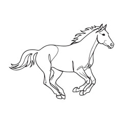 Obraz premium Running horse symbol of freedom power speed