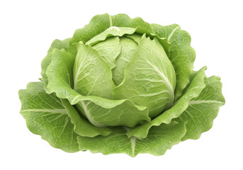 3d icon of fresh green cabbage isolated on transparent background