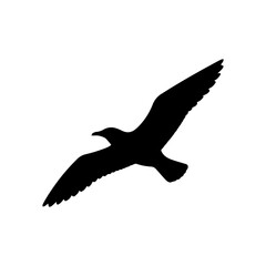 Seagull flying silhouette isolated on white background seabird vector illustration