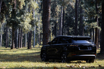 Travel and Freedom Concept with Car in Nature ,Electric vehicle of SUV with Copy Space in Green Nature