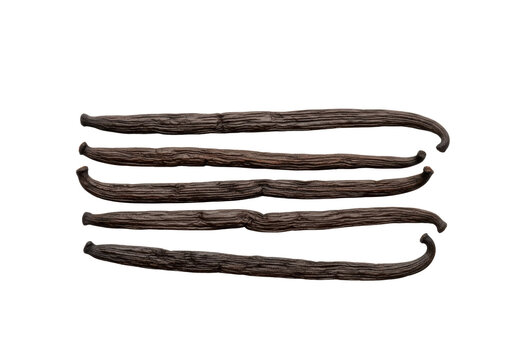 Three to five dark brown, plump, finely wrinkled dried vanilla beans, showing leathery texture, on a transparent seamless studio background. Concept of premium culinary ingredient