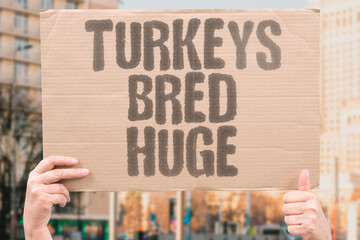 "Turkeys Bred Huge" Birds engineered to grow unnaturally. BIRDS. ENGINEERED. GROW. UNNATURALLY. TURKEYS.